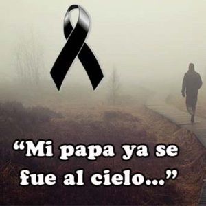 Meet your Posher, Jerilyn